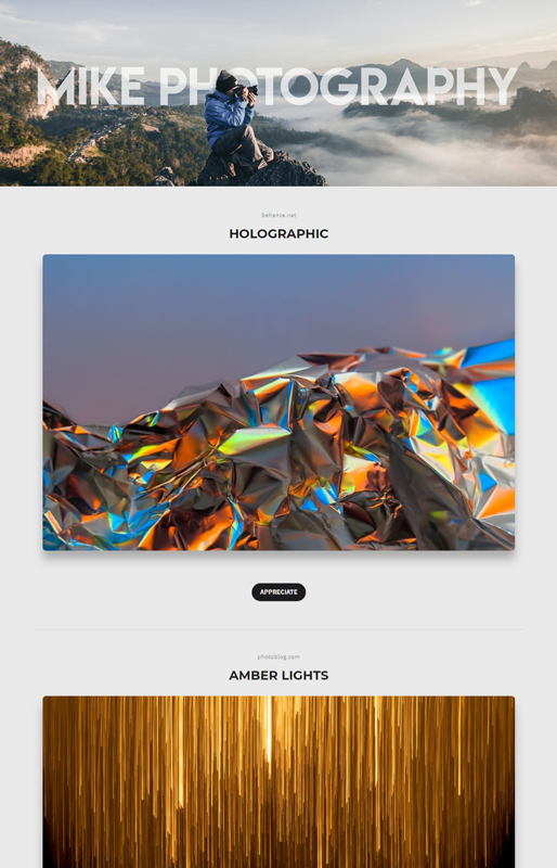 Online Portfolio Template