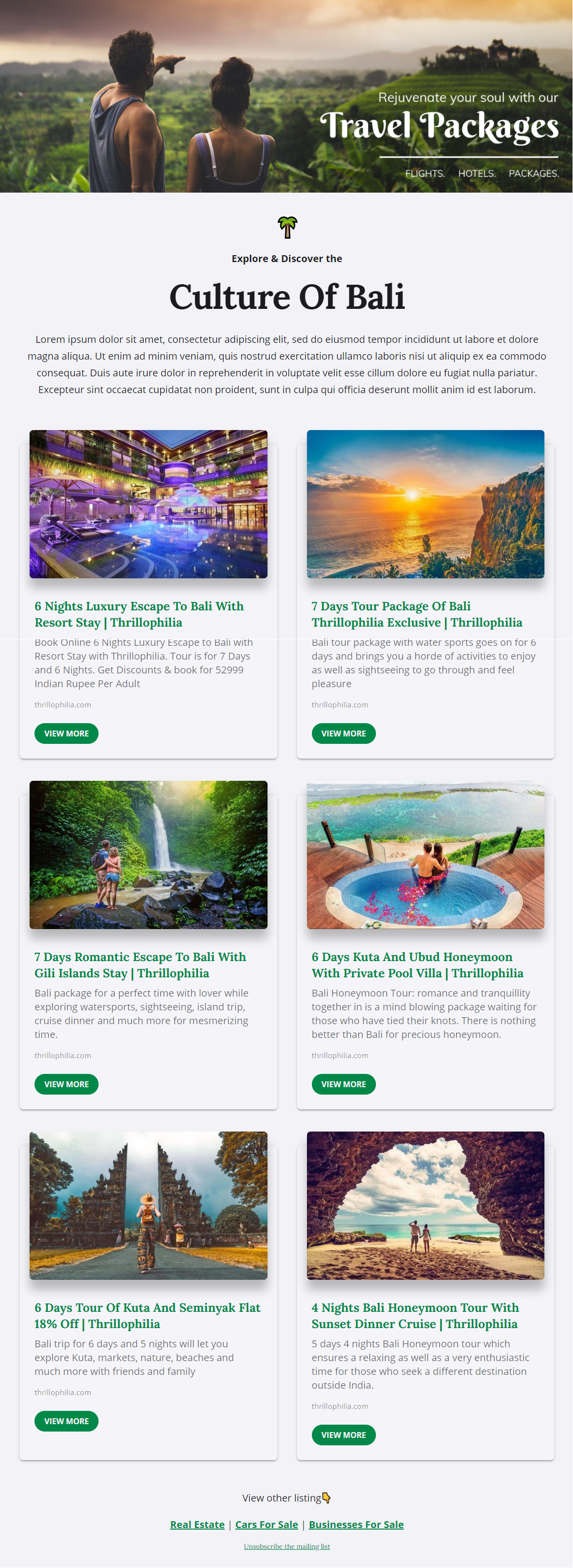 Travel packages newsletter template