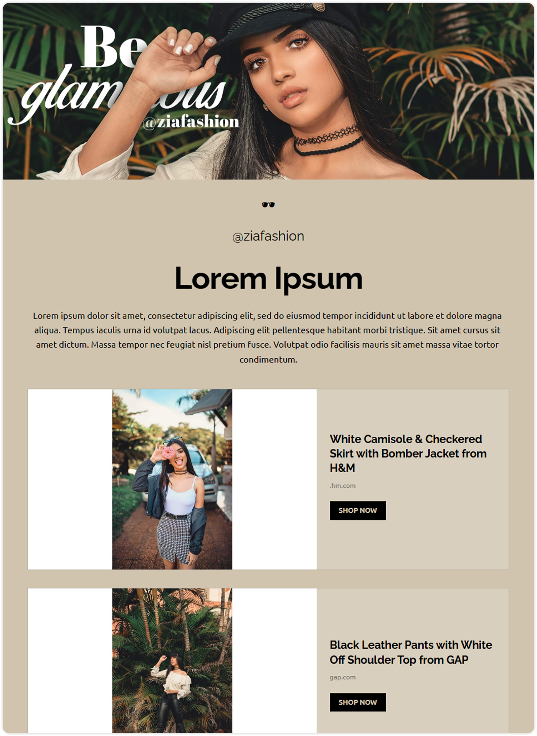 Fashion Influencer Template