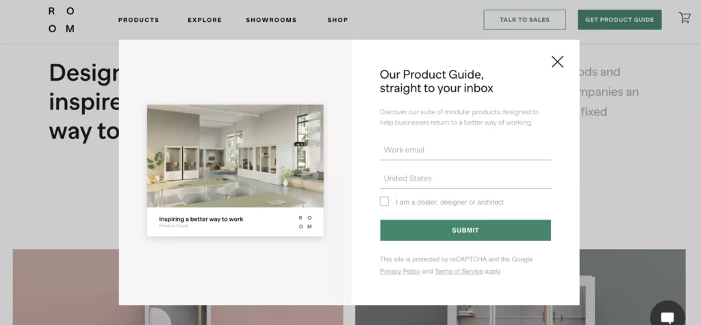 The Free Resource (Lead Magnet) Pop-Up